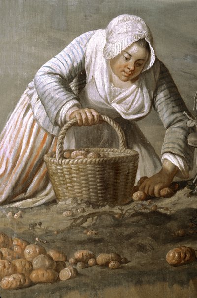 Frankreich - Somme - Département 80 - Amiens - Hotel de Berny - Museum für lokale Kunst - Detailgemälde von Dominique Doncre von Unbekannt Unbekannt